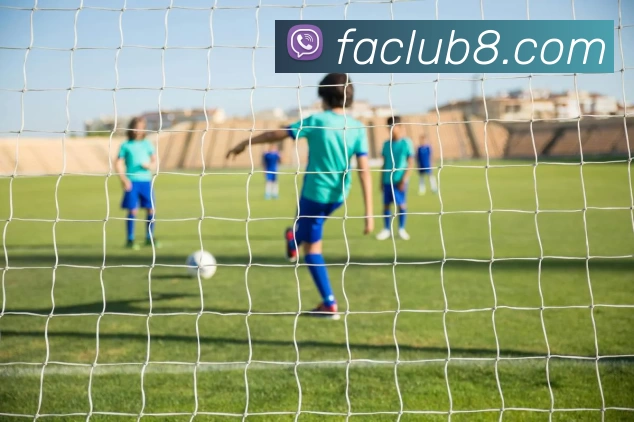 App Interface Preview